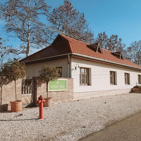 Bed and Breakfast Herba-Haz Danszentmiklos Zewnętrze zdjęcie